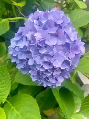 當光寺(東京都)