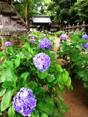 妙法寺(東京都)