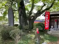妙光院の{uncategorized: "未分類", other: "その他", undefined: "問題あり", building: "その他建物", grave: "お墓", sacred_gate: "鳥居", guardian: "狛犬", statue: "像", buddha: "仏像", history: "歴史", nature: "自然", garden: "庭園", animal: "動物", pagoda: "塔", temizu: "手水舎", mountain_gate: "山門・神門", sanctuary: "本殿・本堂", subordinate: "末社・摂社", art: "芸術", scenery: "景色", jizo: "地蔵", ema: "絵馬", goshuin: "御朱印", omikuji: "おみくじ", items: "授与品その他", amulet: "お守り", goshuincho: "御朱印帳", eats: "食事", festival: "お祭り", votive_dance: "神楽", shichigosan: "七五三参", wedding: "結婚式", experience: "体験その他", initially: "初詣", around: "周辺", anti_infection: "感染症対策"}
