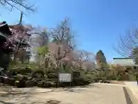 本土寺(千葉県)