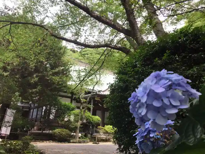 妙本寺(神奈川県)