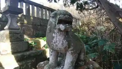 大杉神社の狛犬