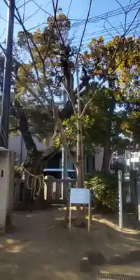 綾瀬稲荷神社(東京都)