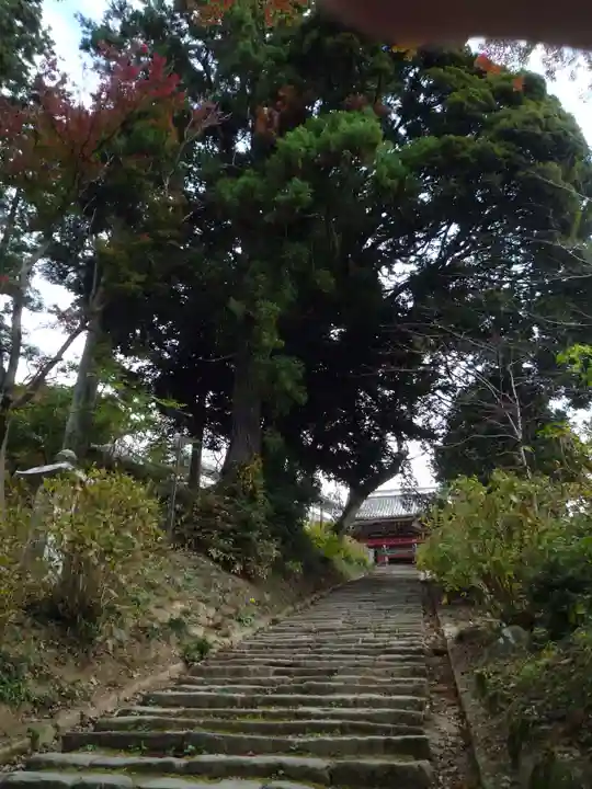 楽法寺(雨引観音)(茨城県)