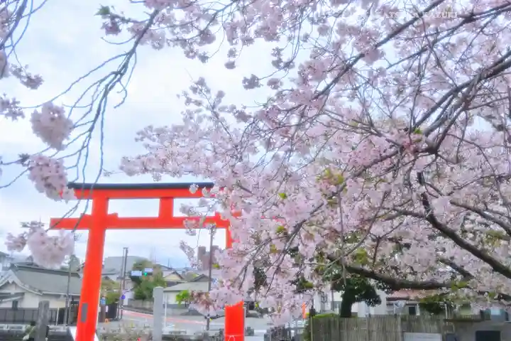 富士山本宮浅間大社(静岡県)
