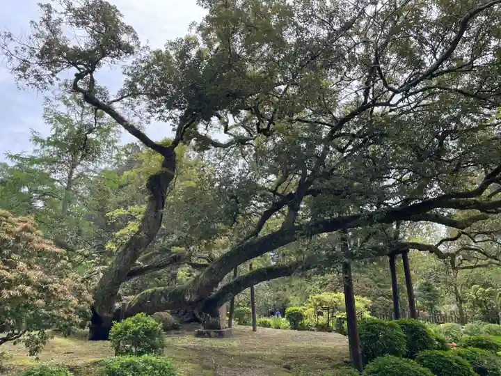 歌泉堂(春日大社神苑萬葉植物園内鎮座)(奈良県)