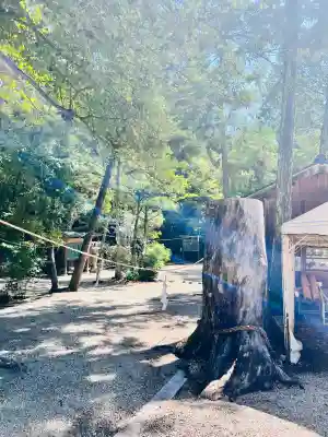 大和神社(奈良県)
