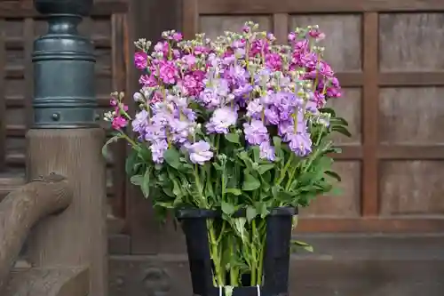 阿邪訶根神社のその他建物