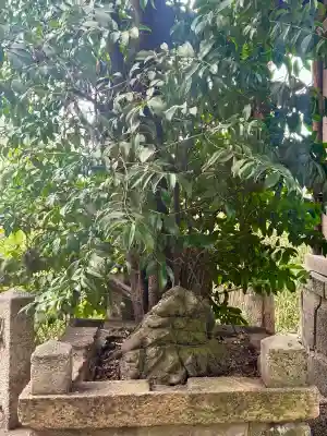 凉森神社の{uncategorized: "未分類", other: "その他", undefined: "問題あり", building: "その他建物", grave: "お墓", sacred_gate: "鳥居", guardian: "狛犬", statue: "像", buddha: "仏像", history: "歴史", nature: "自然", garden: "庭園", animal: "動物", pagoda: "塔", temizu: "手水舎", mountain_gate: "山門・神門", sanctuary: "本殿・本堂", subordinate: "末社・摂社", art: "芸術", scenery: "景色", jizo: "地蔵", ema: "絵馬", goshuin: "御朱印", omikuji: "おみくじ", items: "授与品その他", amulet: "お守り", goshuincho: "御朱印帳", eats: "食事", festival: "お祭り", votive_dance: "神楽", shichigosan: "七五三参", wedding: "結婚式", experience: "体験その他", initially: "初詣", around: "周辺", anti_infection: "感染症対策"}