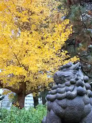 福井神社(福井県)