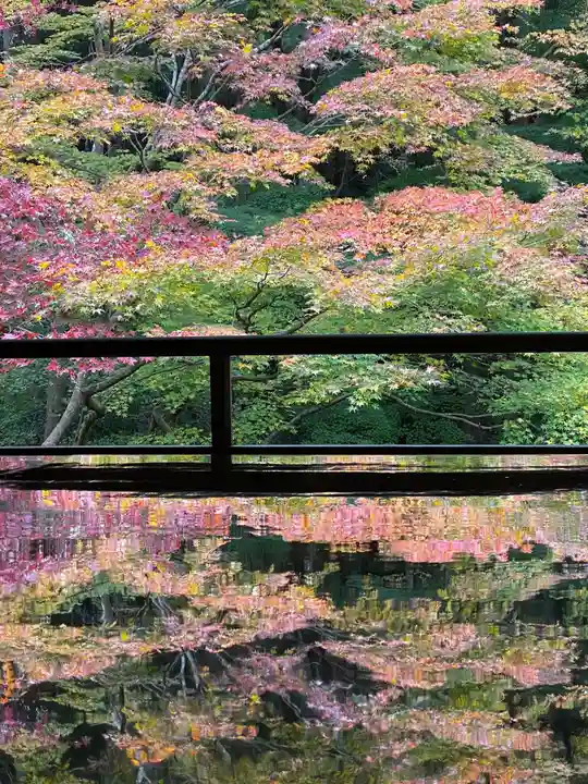 光明寺瑠璃光院(京都府)
