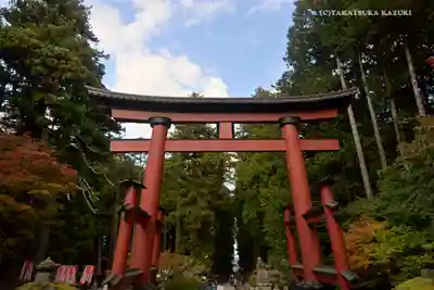 北口本宮冨士浅間神社の鳥居