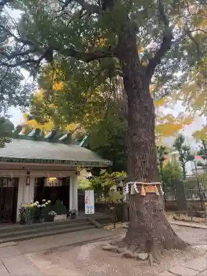 駒込天祖神社(東京都)