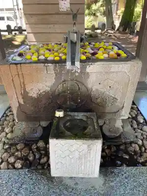 上野総社神社(群馬県)