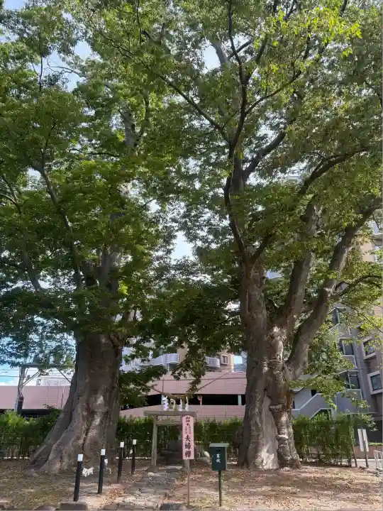 熊野神社(山形県)