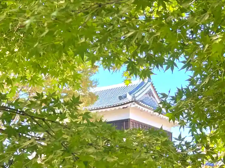 眞田神社(長野県)