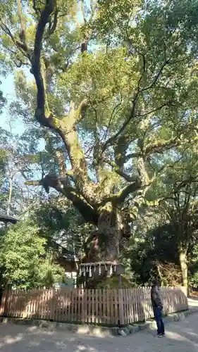 熱田神宮(愛知県)