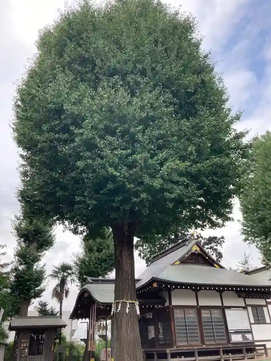 武蔵野神社の本殿・本堂