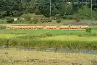 熊野神社(神奈川県)