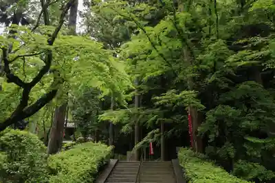 今熊野観音寺(京都府)