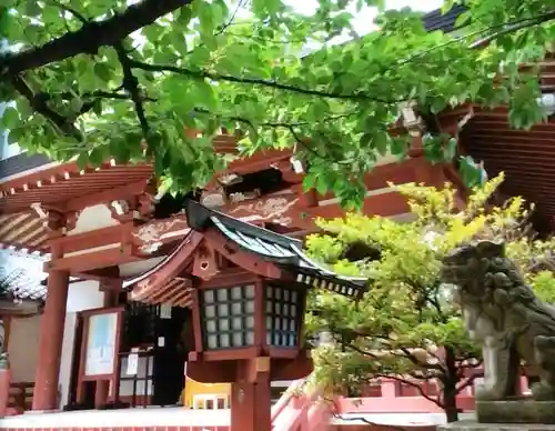 秋葉神社(東京都)