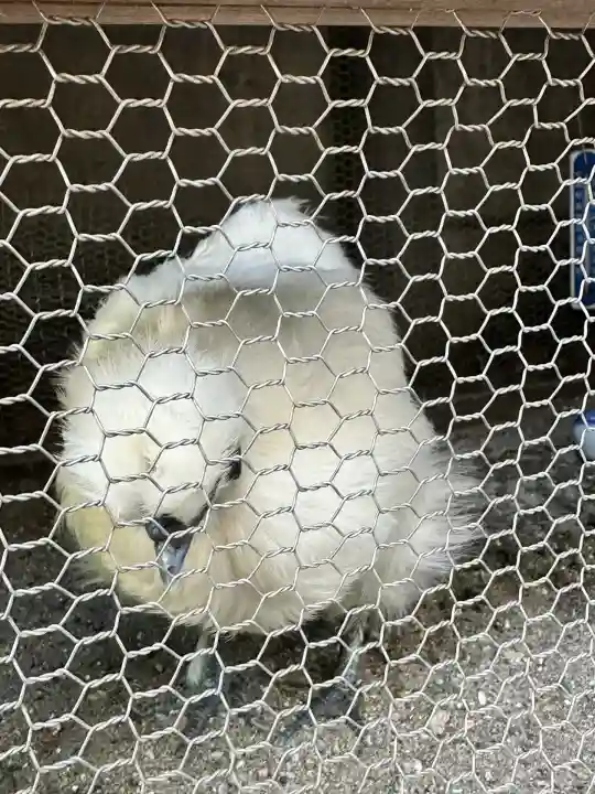 櫻木神社(東京都)