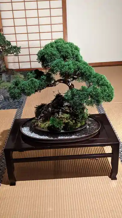 妙顯寺(妙顕寺)(京都府)