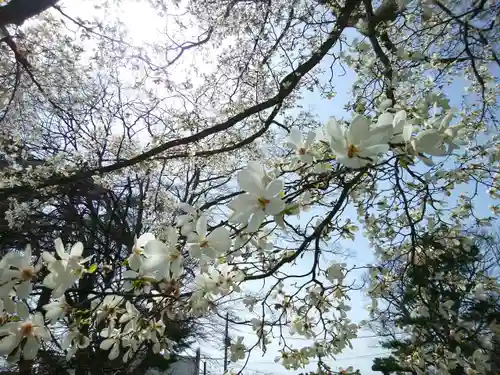 厚別神社(北海道)