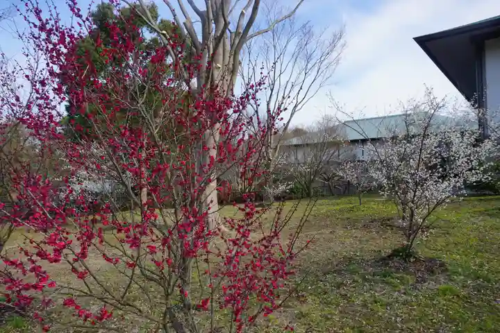 倭姫宮(皇大神宮別宮)の庭園