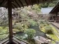 禅林寺(永観堂)の{uncategorized: "未分類", other: "その他", undefined: "問題あり", building: "その他建物", grave: "お墓", sacred_gate: "鳥居", guardian: "狛犬", statue: "像", buddha: "仏像", history: "歴史", nature: "自然", garden: "庭園", animal: "動物", pagoda: "塔", temizu: "手水舎", mountain_gate: "山門・神門", sanctuary: "本殿・本堂", subordinate: "末社・摂社", art: "芸術", scenery: "景色", jizo: "地蔵", ema: "絵馬", goshuin: "御朱印", omikuji: "おみくじ", items: "授与品その他", amulet: "お守り", goshuincho: "御朱印帳", eats: "食事", festival: "お祭り", votive_dance: "神楽", shichigosan: "七五三参", wedding: "結婚式", experience: "体験その他", initially: "初詣", around: "周辺", anti_infection: "感染症対策"}