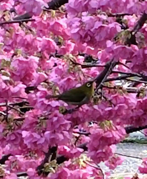 かっぱの寺 栖足寺(静岡県)