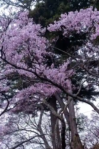 新城藤原神社(長野県)