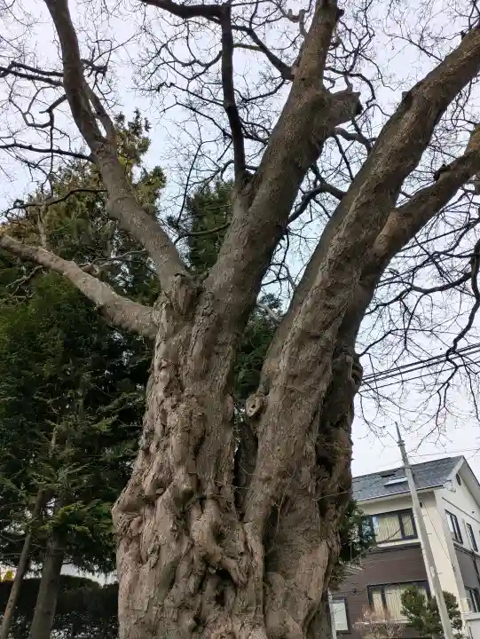 湯倉神社の{uncategorized: "未分類", other: "その他", undefined: "問題あり", building: "その他建物", grave: "お墓", sacred_gate: "鳥居", guardian: "狛犬", statue: "像", buddha: "仏像", history: "歴史", nature: "自然", garden: "庭園", animal: "動物", pagoda: "塔", temizu: "手水舎", mountain_gate: "山門・神門", sanctuary: "本殿・本堂", subordinate: "末社・摂社", art: "芸術", scenery: "景色", jizo: "地蔵", ema: "絵馬", goshuin: "御朱印", omikuji: "おみくじ", items: "授与品その他", amulet: "お守り", goshuincho: "御朱印帳", eats: "食事", festival: "お祭り", votive_dance: "神楽", shichigosan: "七五三参", wedding: "結婚式", experience: "体験その他", initially: "初詣", around: "周辺", anti_infection: "感染症対策"}