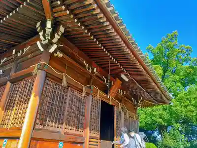 若宮八幡宮の本殿・本堂