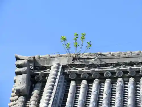 無量寺のその他建物