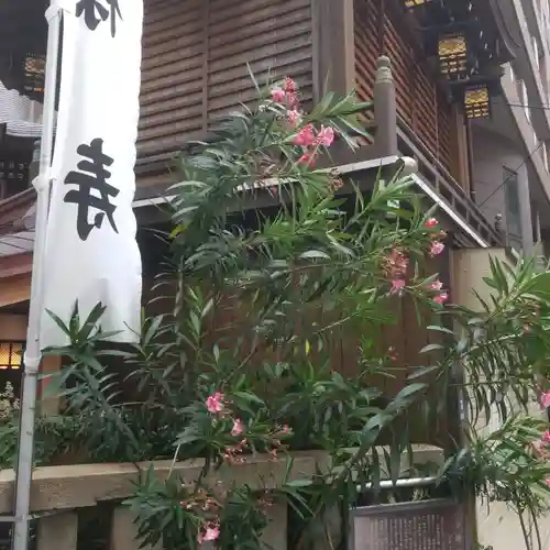 小網神社のその他建物