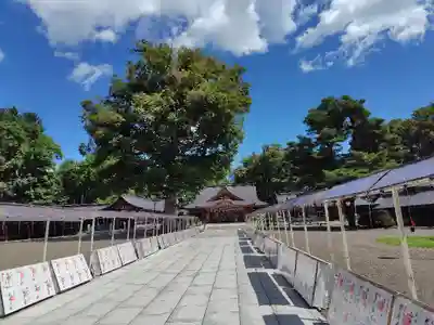 北海道護國神社のお祭り