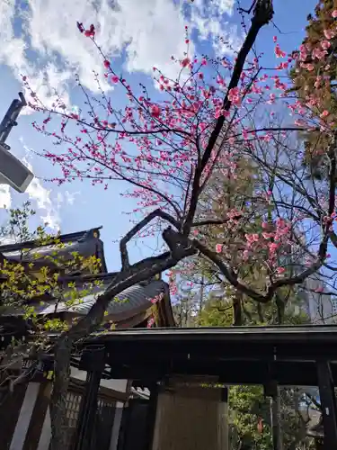 愛宕神社(東京都)