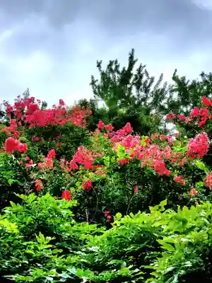 神炊館神社 ⁂奥州須賀川総鎮守⁂(福島県)