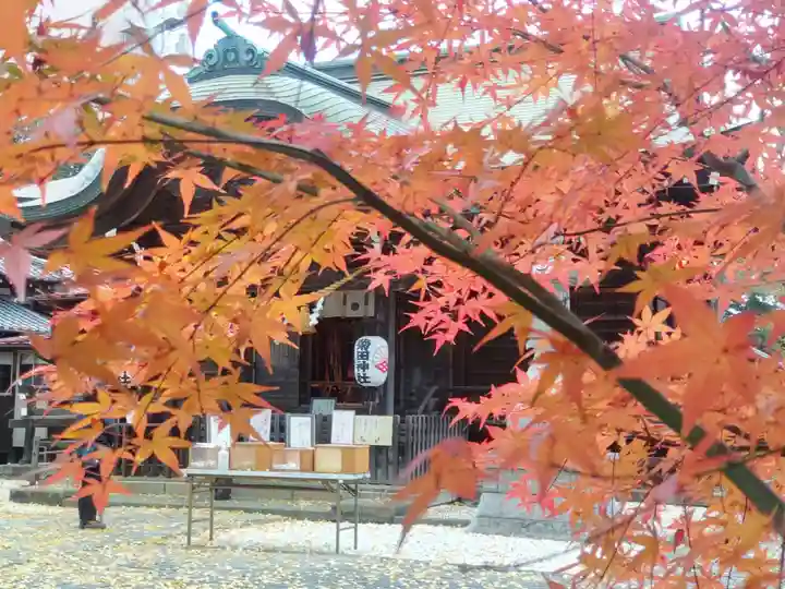 菊田神社の自然