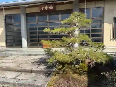 西方山極楽寺(岐阜県)