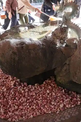 青島神社（青島神宮）(宮崎県)