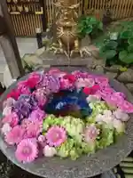 白山神社(新潟県)