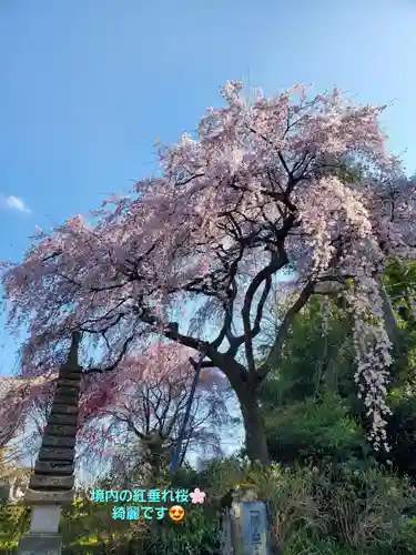 上合寺(福島県)
