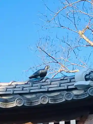 龍ケ崎八坂神社(茨城県)