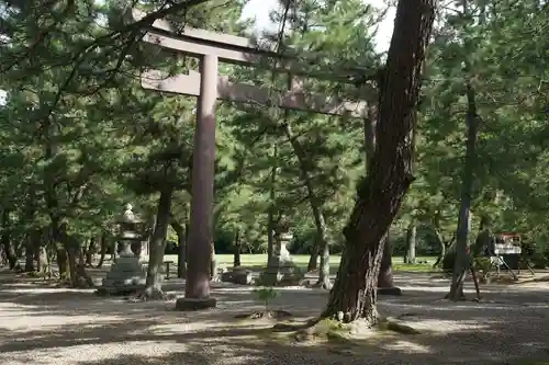 出雲大社の鳥居