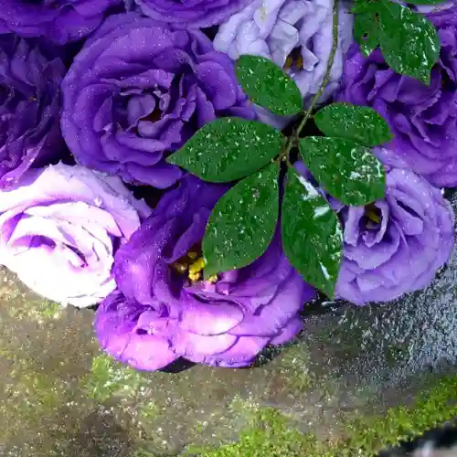 帯廣神社の手水舎