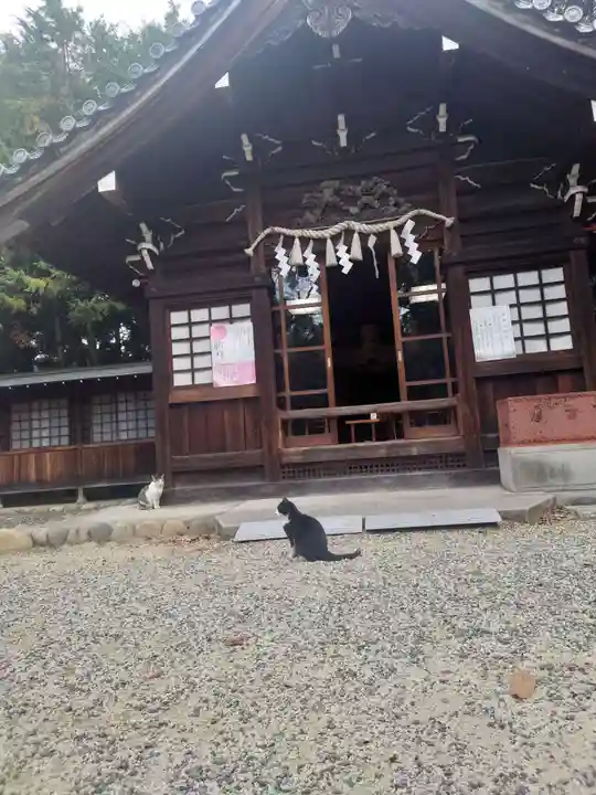 八幡社(柏井町)の動物