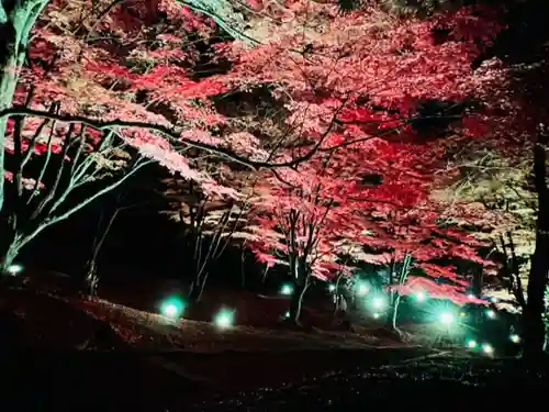 土津神社｜こどもと出世の神さまの景色