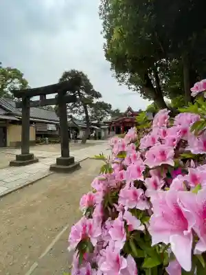 品川神社(東京都)